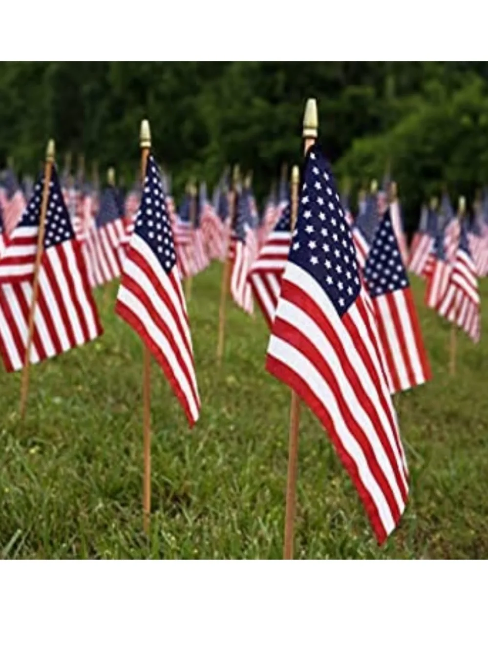Set of 20 Patriotic Small American Hand Stick Flag With Pointed Gold Tip 4x6”